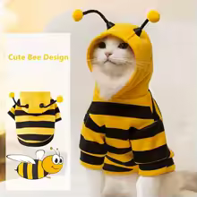 Bee Hoodie